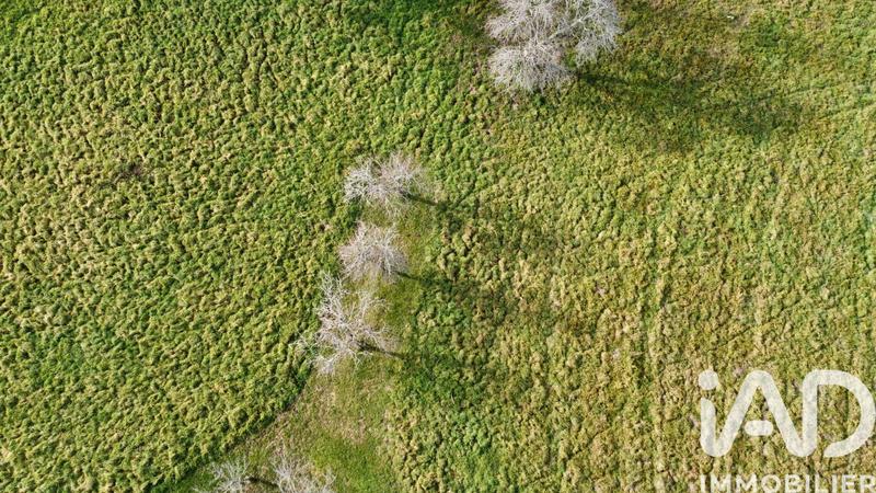 Ferme - 93 m² - 4 pièces