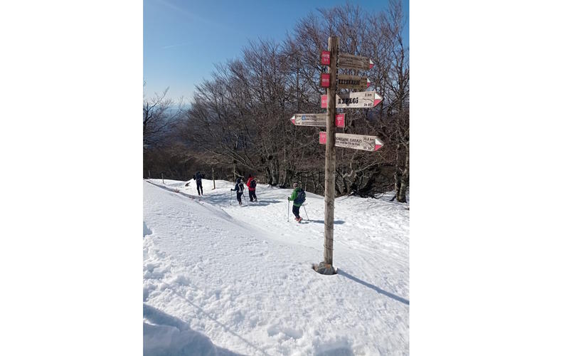 Randonnée accompagnée Mendi Gaiak : raquettes à neige (niveau 2)