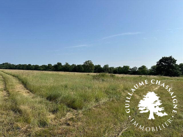 Maison traditionnelle - 254 m² - 8 pièces