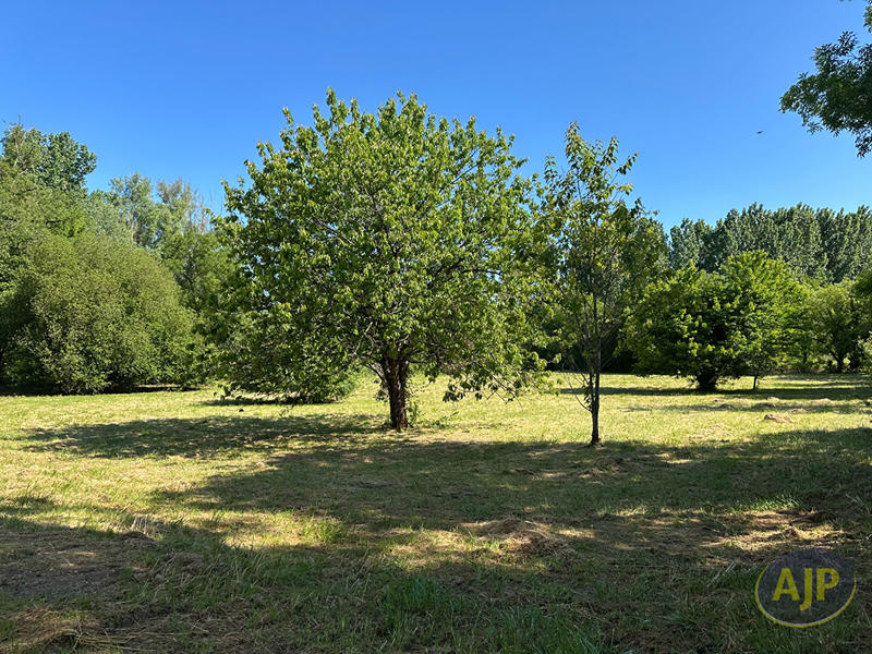 Terrain - 5 501 m²
