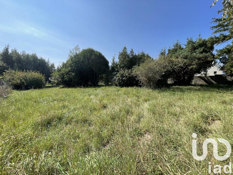 Terrain - 550 m²