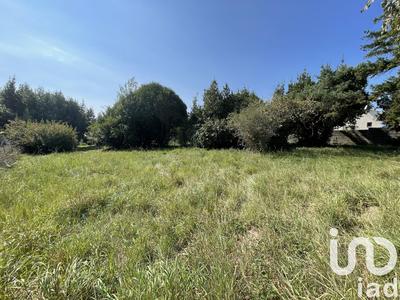 Terrain - 550 m²