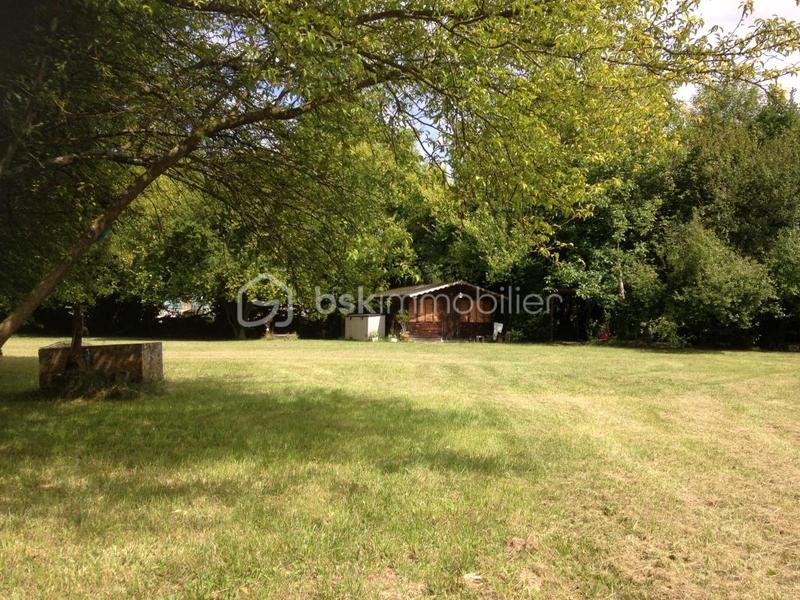 Terrain - 10 907 m²