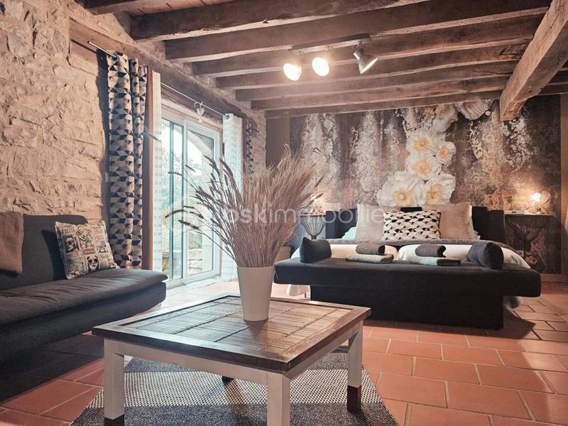 Maison chambre d'hôtes - 490 m² - 12 pièces