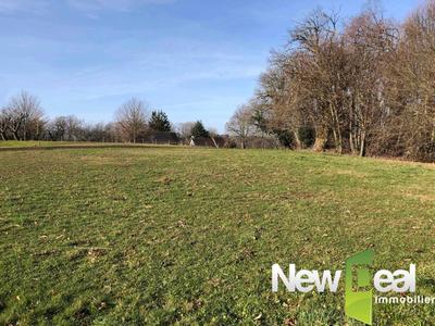 Terrain constructible - 2 647 m²