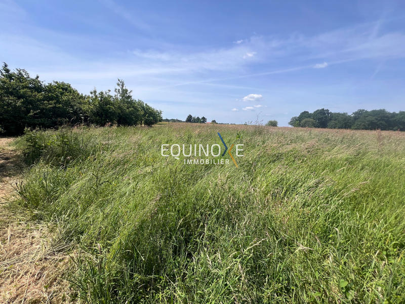 Maison - 180 m² - 5 pièces