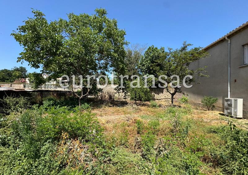 Propriété viticole - 146 m² - 5 pièces