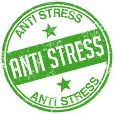 Alice Bergeret Hypnose &amp; Coaching