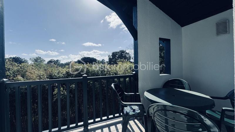 Studio - 20 m² - 1 pièce