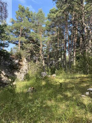 Terrain - 11 010 m²