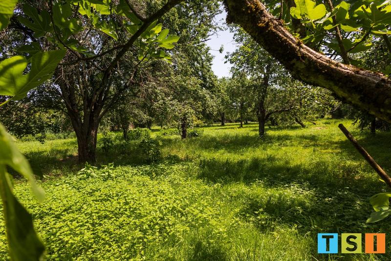 Maison bourgeoise - 250 m² - 8 pièces