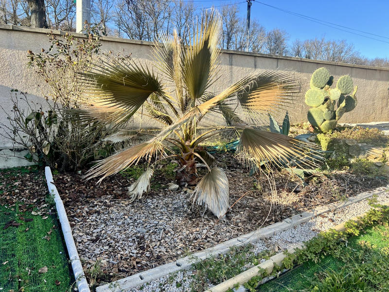 Maison - 111 m² - 5 pièces