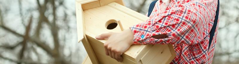 Semaine de la Biodiversité - Construction d'un nichoir à Oiseaux à Terres d'Oiseaux