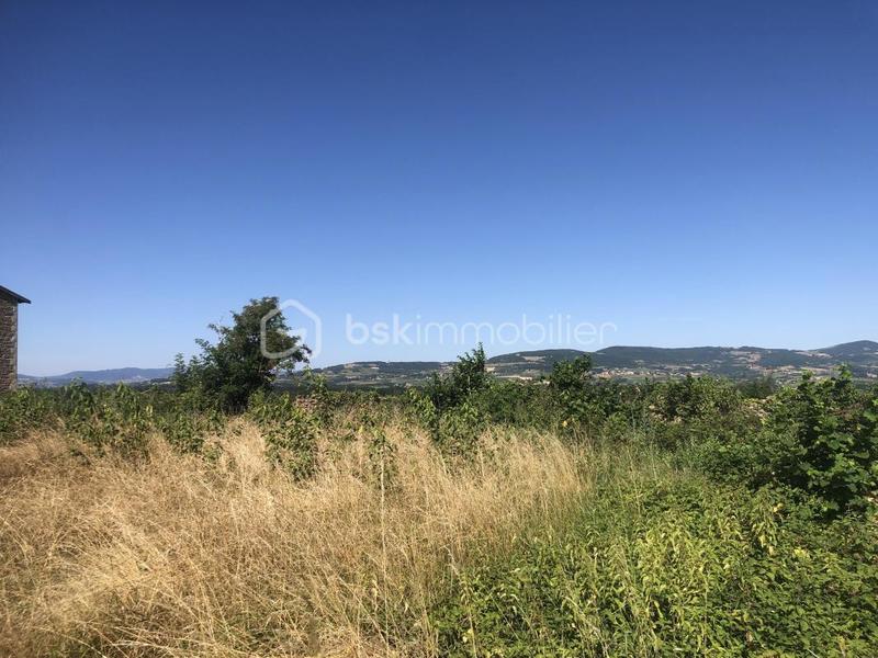 Terrain constructible - 981 m²
