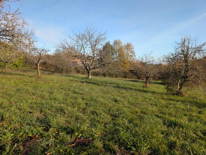 Terrain constructible - 1 001 m²