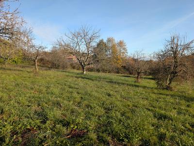 Terrain constructible - 1 001 m²