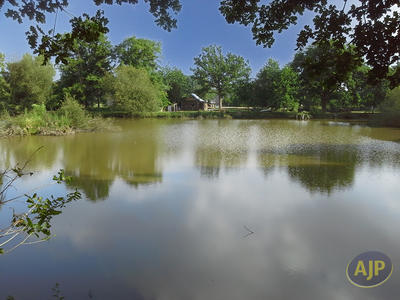 Terrain - 11 796 m²