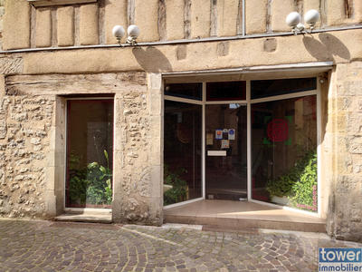 Maison - 350 m² - 10 pièces