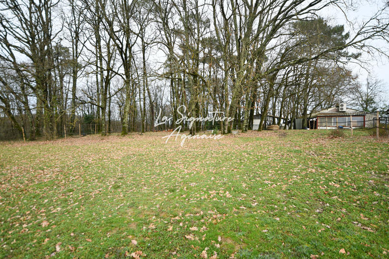 Maison - 167 m² - 5 pièces