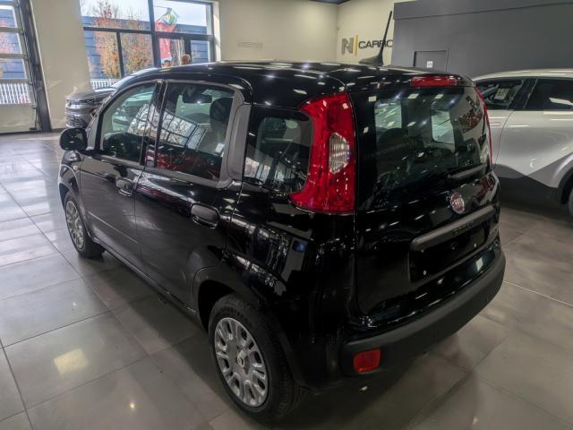 Fiat Panda 1.0 70 ch Hybrid Bsg s/S City