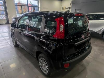 Fiat Panda 1.0 70 ch Hybrid Bsg s/S City