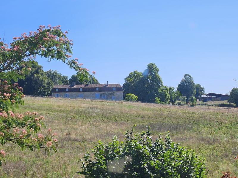 Visite et randonnée - Château en fête