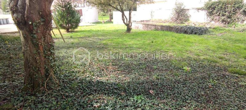 Terrain de loisirs - 299 m²