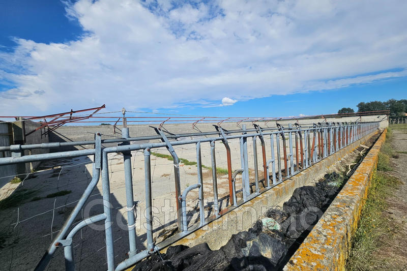 Maison - 590 m² - 1 pièce