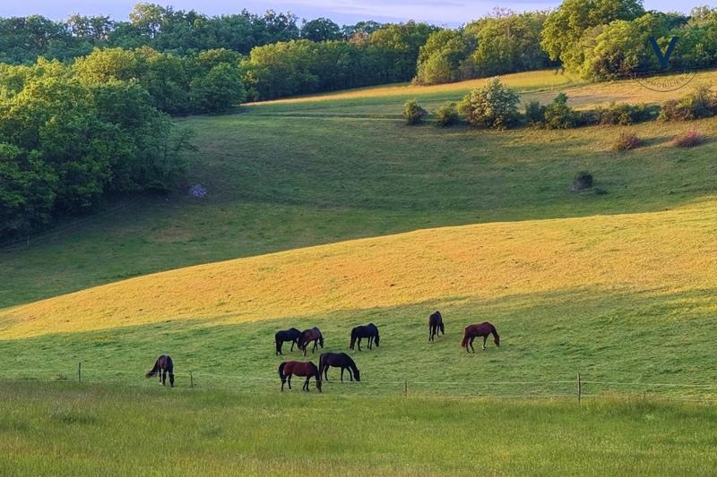 Haras - 340 m² - 6 pièces