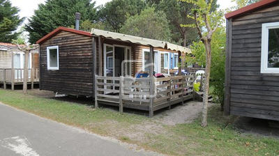 Local commercial - 35 719 m²