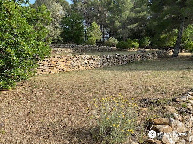 Terrain de loisirs - 6 500 m²