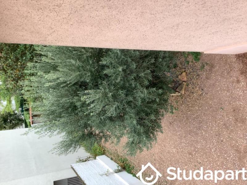 Chambre - 13 m² - 1 pièce