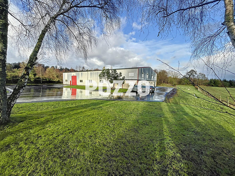 Local d'activité / Entrepôt - 1 098 m² - 9 pièces