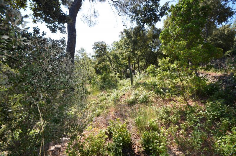 Terrain constructible - 953 m²