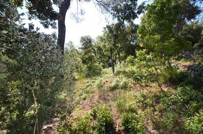 Terrain constructible - 953 m²