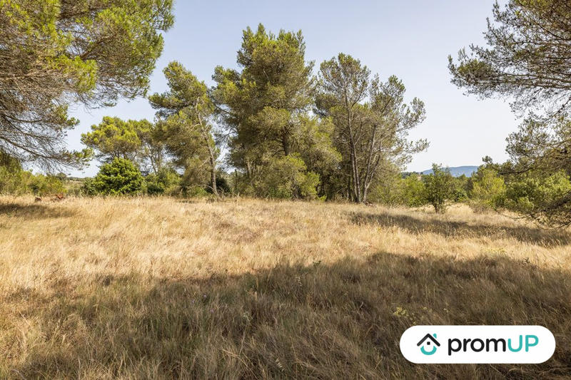 Terrain de loisirs - 8 952 m²