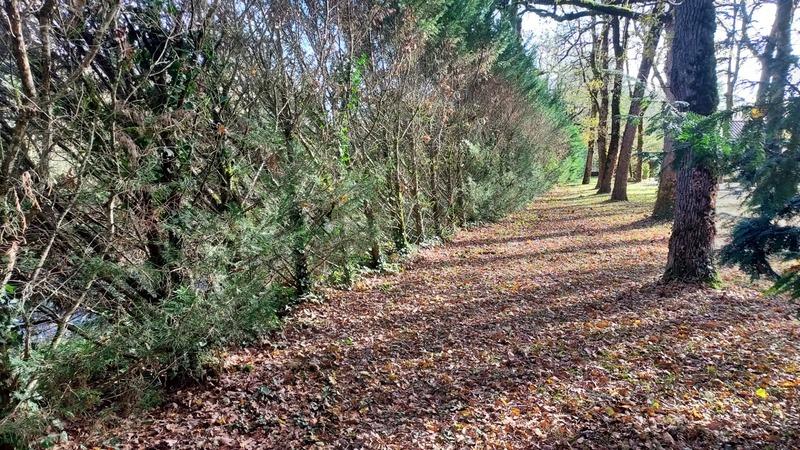 Terrain constructible - 1 090 m²