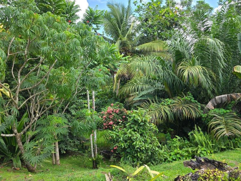 Villa - 180 m² - 9 pièces