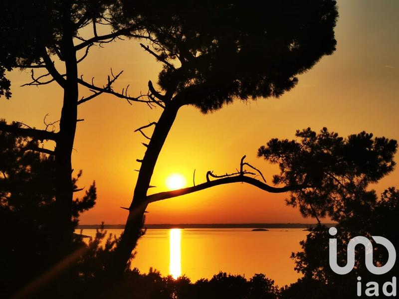 Maison - 246 m² - 10 pièces