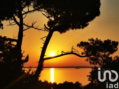 Maison - 246 m² - 10 pièces