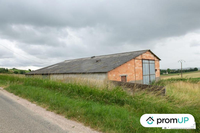 Terrain agricole - 5 800 m²