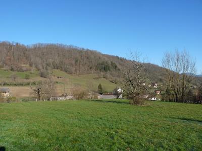 Terrain constructible - 9 954 m²