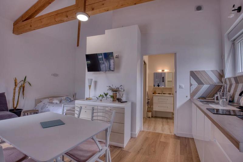 Maison de maîtres - 497 m² - 14 pièces