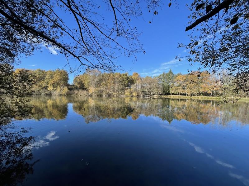 Château - 400 m² - 10 pièces