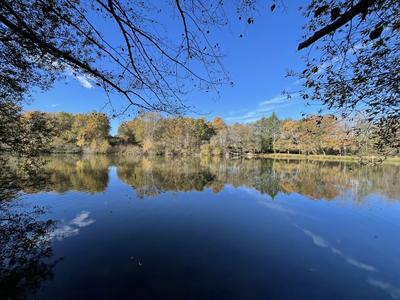 Château - 400 m² - 10 pièces
