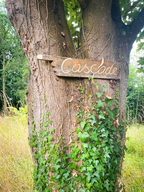 Maison - 264 m² - 14 pièces