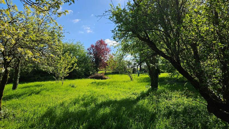 Propriété - 170 m² - 5 pièces