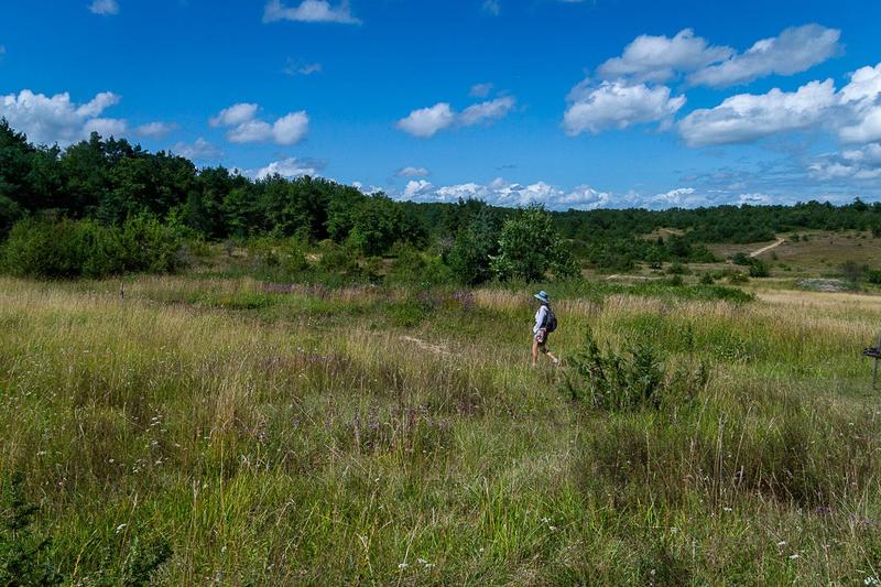 Exposition Art sur le Causse