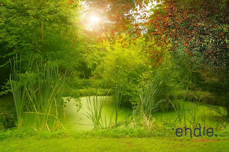 Maison - 220 m² - 7 pièces