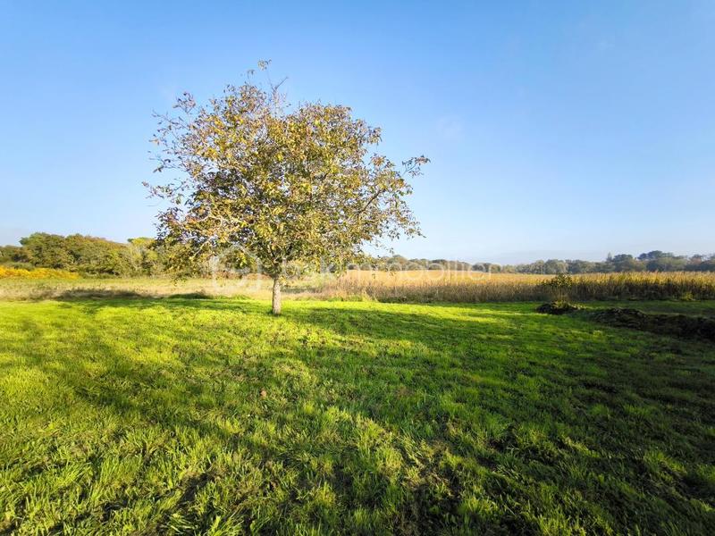 Maison en pierre - 98 m² - 4 pièces